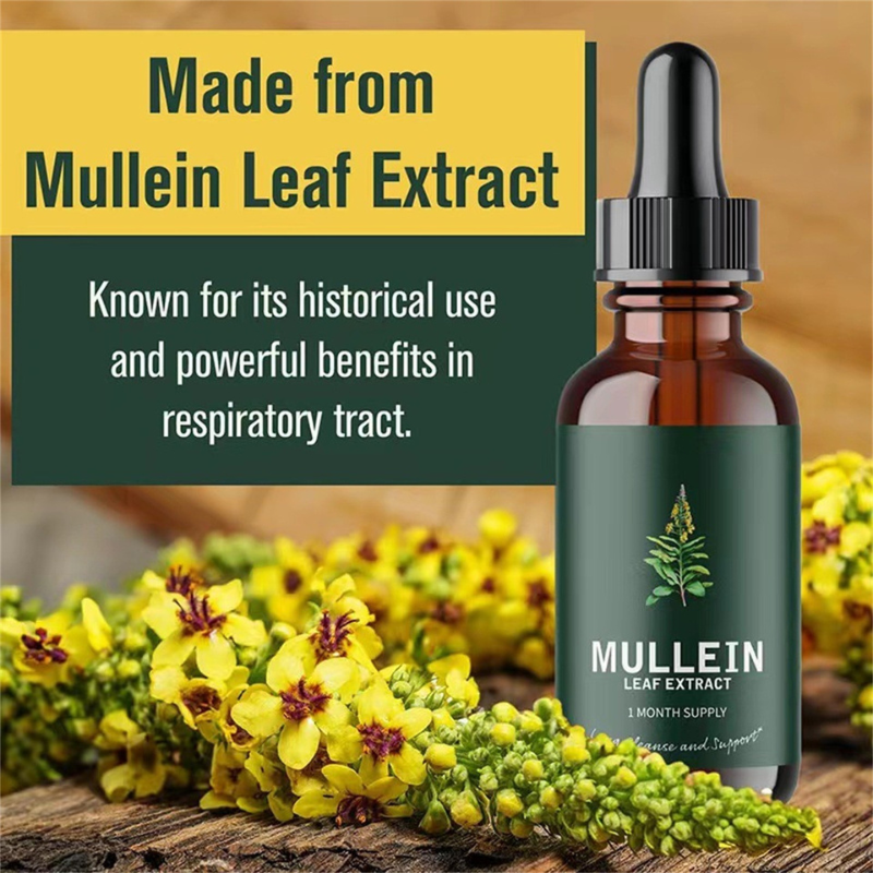 Mullein, Leaf Extract with Chlorophyll Extract