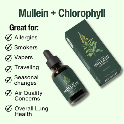 Mullein, Leaf Extract with Chlorophyll Extract