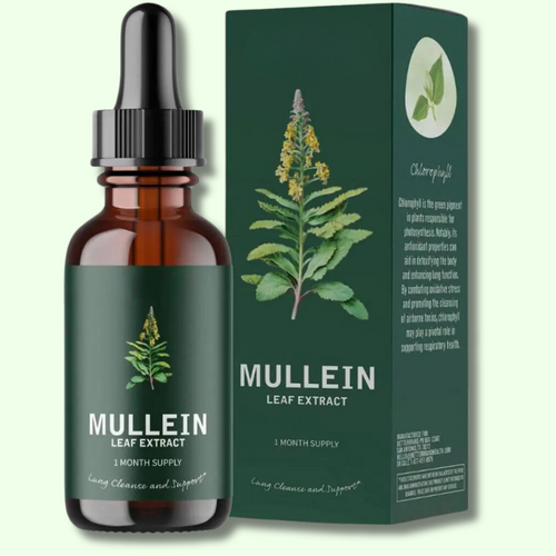 Mullein, Leaf Extract with Chlorophyll Extract